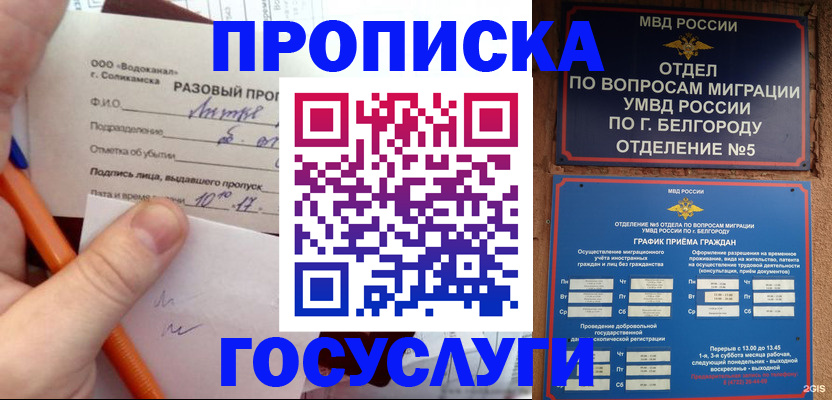 прописка паспорт в Бердске